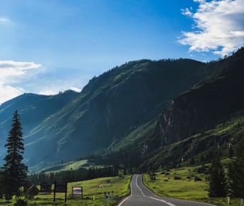 Цветение маральника, 5 дней