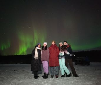 Арктика: северное сияние, норвежские пейзажи, хаски и олени