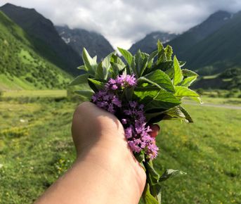 Горы Северной Осетии! 5 дней наслаждения и лучших достопримечательностей