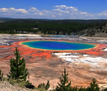 Йеллоустоун. Старый служака