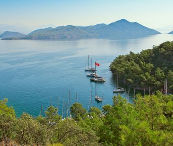 По Золотому кольцу Алтая 2026 - увидеть весь Алтай!