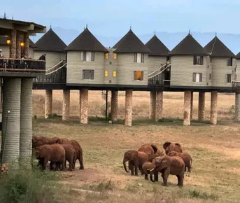 5-дневное сафари по Западному и Восточному Цаво в Амбосели.