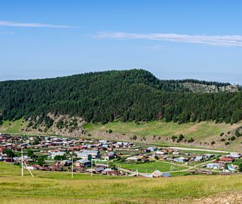 Шагом, рысцой, галопом