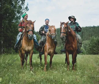 Шагом, рысцой, галопом