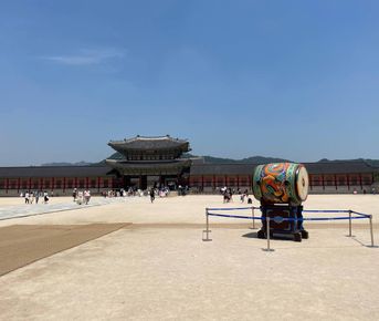 Осень в Южной Корее: Симфония Красного клена и Морского Бриза