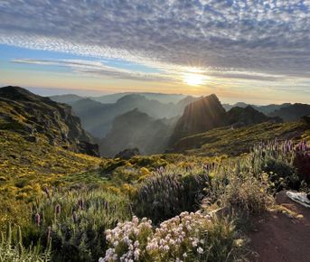 Португалия. Мадейра