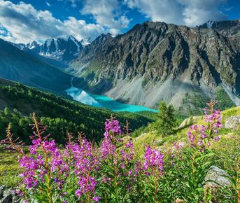 ТЫ ЛЮБОВЬ - АЛТАЙСКОЕ ПУТЕШЕСТВИЕ СО СМЫСЛОМ