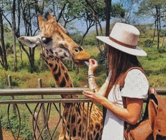 Wow сафари-тур: озеро Накуру и Найваша, нацпарки Найроби и Масаи Мара