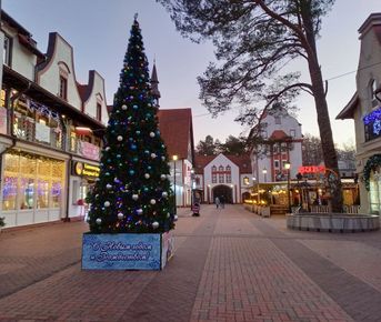 Новогодние каникулы в Калининграде