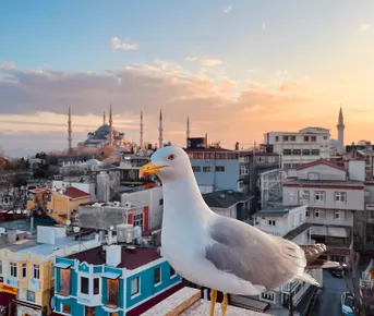 Открываем сокровищницу Турции. Каникулы в Стамбуле+фото (+ даты девичников)