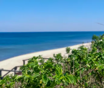 Тур Pro Балтику 4 дня/3 ночи