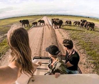 3 Days Safari At Tarangire  Park, Ngorongoro & Kilimanjaro M