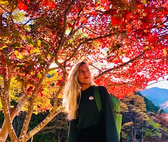 Япония в сезон красных клёнов момидзи. Большое путешествие по всей стране