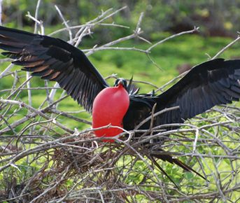 Групповой тур в Эквадор!