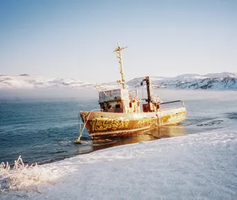 Киты. Териберка. Все включено!