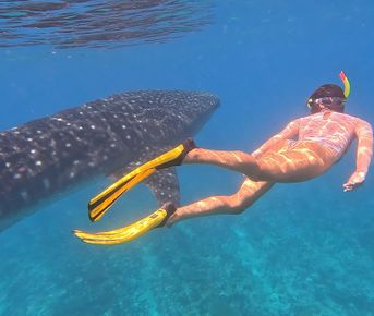 Йога-тур на Мальдивах: перезагрузка тела и души