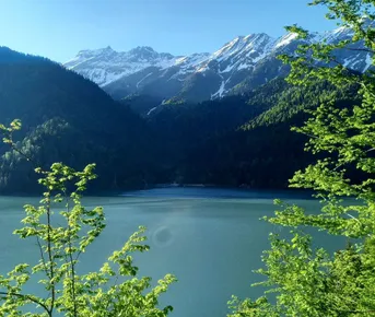 Абхазия - страна души. Комфорт-тур