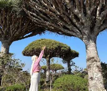 Сокотра: самый закрытый остров планеты