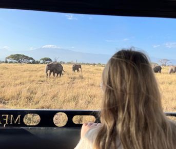 WOW сафари , Отель со слонами и пляжный отдых