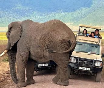 Шестидневное сафари по Африке в Масаи-Мара, озере Накуру, Найваша и Амбосели.