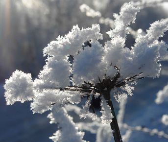 Алтай. Новогодняя Сказка