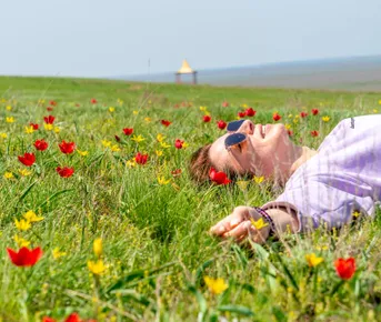 Калмыкия - родина тюльпанов!