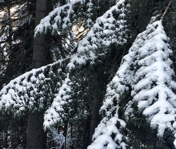 Рождество в Сванетии