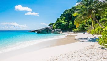 Beach tour