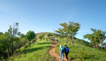 Hiking & trekking