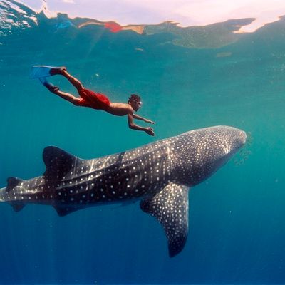 Maldives Honeymoon Package