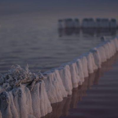 The Volga flows into the Caspian Sea · tours & trips · Tripsider.com