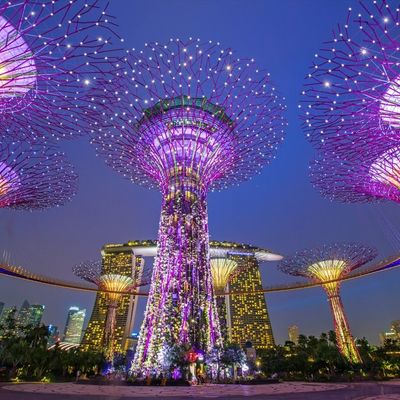 Explore Singapore and Hong Kong in Luxury This New Year!