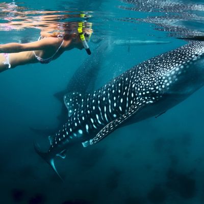 Explore the Intricate Wonders of 3 Destinations