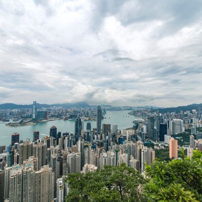 Explore the Intricate Wonders of 3 Destinations