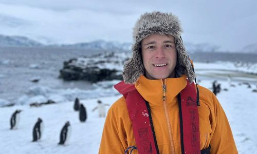 Мы поженились у берегов Антарктиды: история о любви и пингвинах