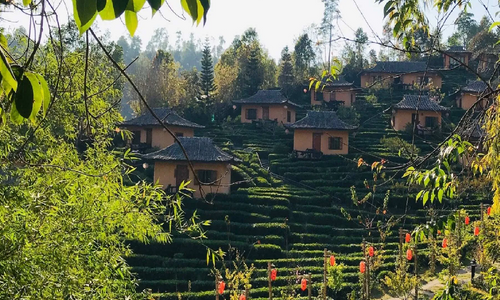 Северный Таиланд: что посетить