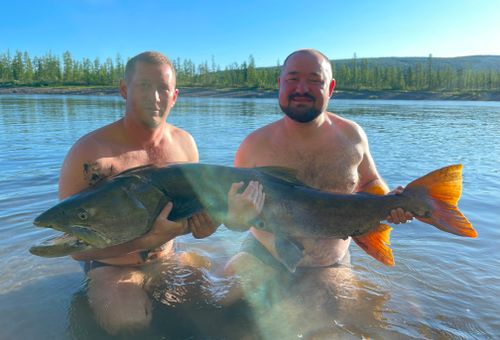 Река Северная славится крупными Тайменями!