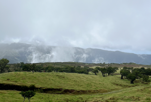 Мы не просто посещаем точки на карте. Мы проживаем каждую локацию. Ловим атмосферу, замедляемся и это лучшая перезагрузка от рутины