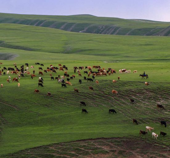 Dagestan with children and babysitter