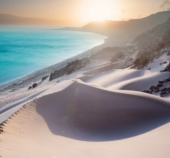 Socotra — Dragon Tree Island