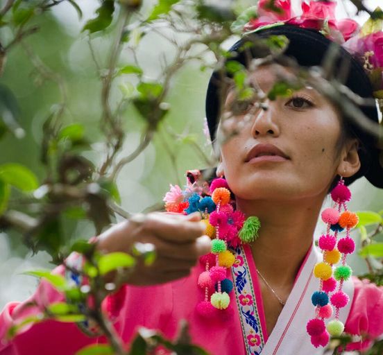 Cloud South: China and Laos