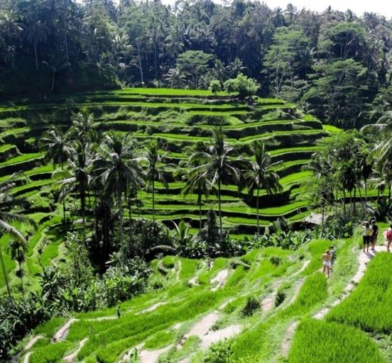 Fall in love with Bali in 12 days