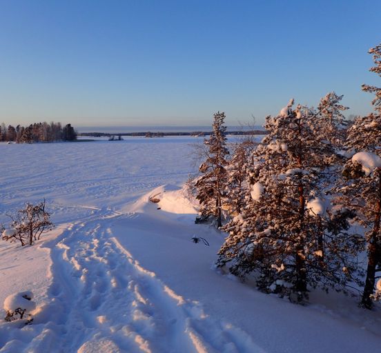Winter Vuoksa. Ski trips with an overnight stay in a hut.