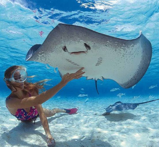  Fitness Zumba Tour in the Maldives