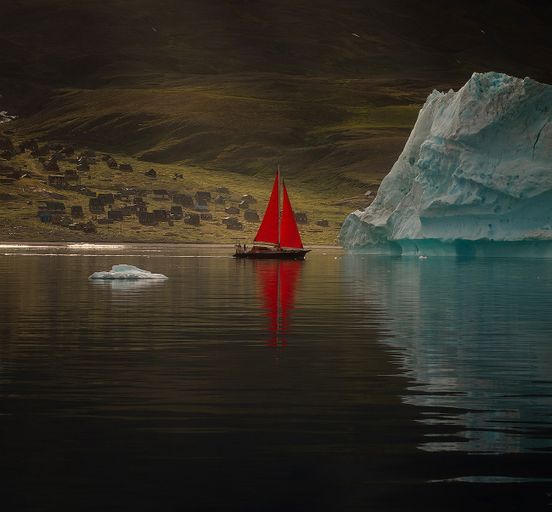 WHALES AND ICEBERGS