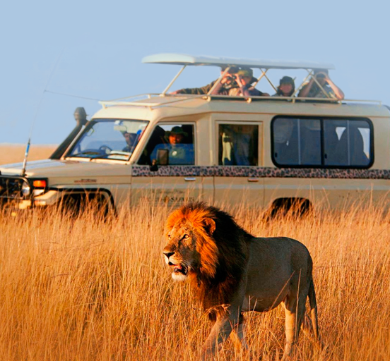 AKUNA MATATA! Luxury safari in KENYA+OCEAN