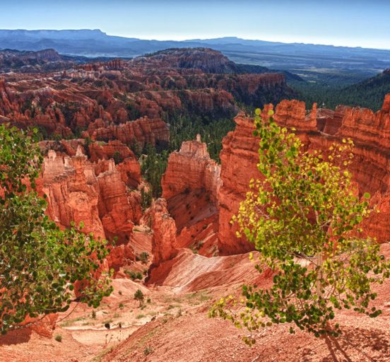 8 Days Arches Canyonlands Antelope Zion Bryce Grand Canyon