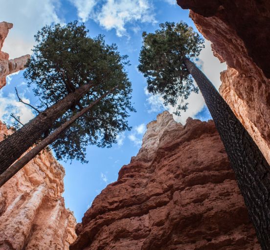 8 Days Zion to Yosemite National Parks Adventures