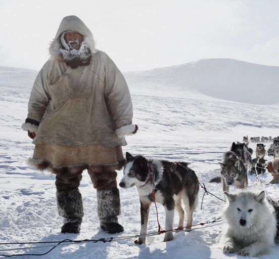 ЧУКОТКА: Экспедиция с учёным-этнологом на собачьих упряжках 