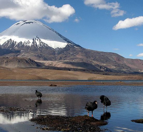 4 дня Уникальный опыт @ Чилийское высокогорное плато (Чилийское Альтиплано)